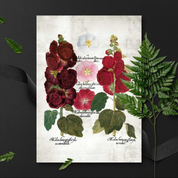 Plakaty z wariantami kwiatów