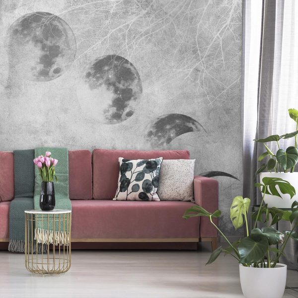 Fototapeta księżyc i las w szarościach