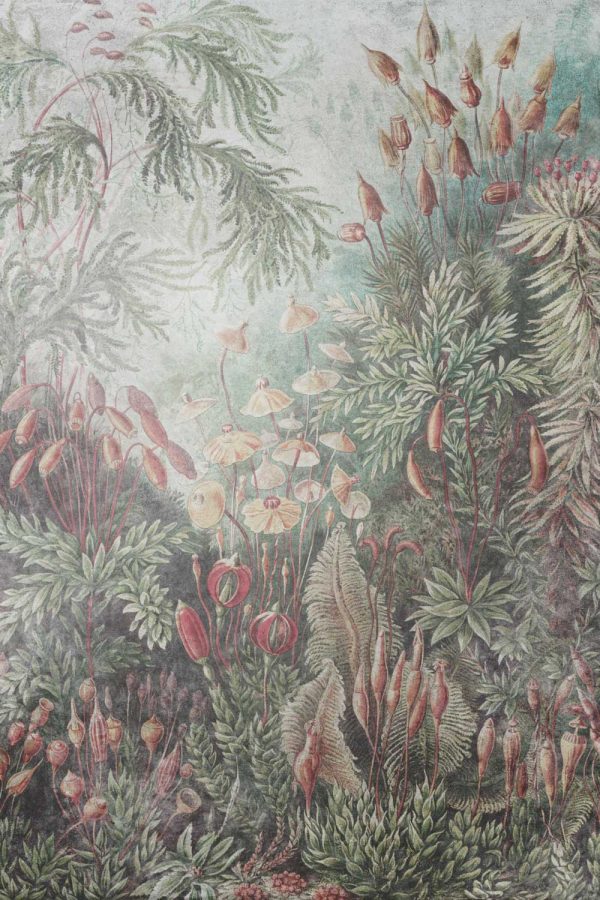 Fototapeta z lasem w stonowanych barwach