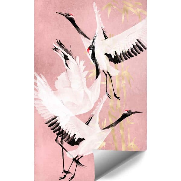 Fototapety z ptakami