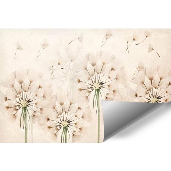 Tapeta pięć dmuchawców