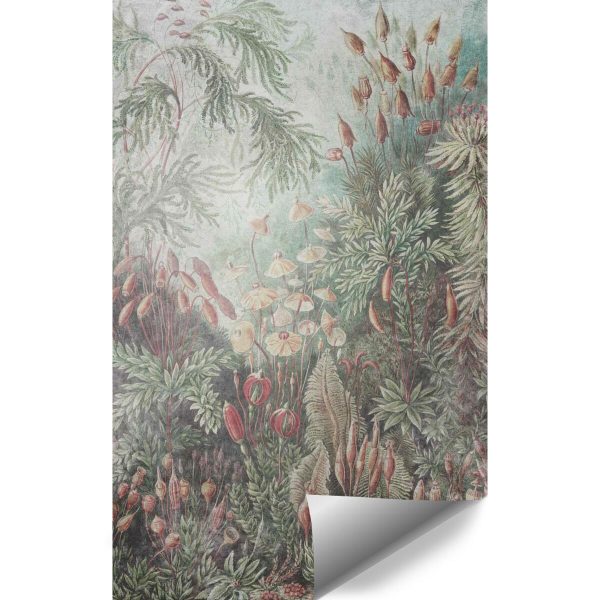 Tapeta z motywem roślin leśnych