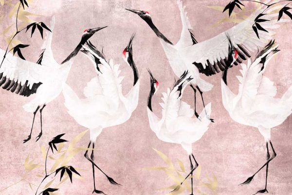 Tapeta ze stadem żurawi