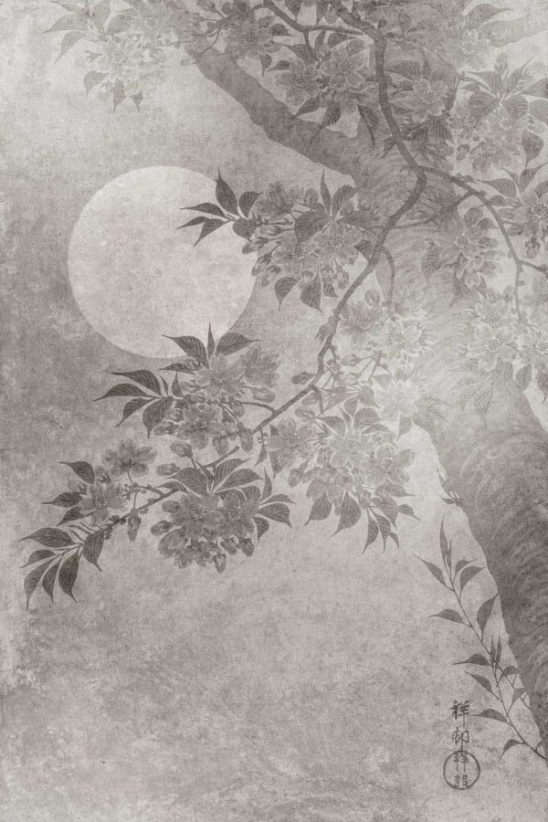 Foto-tapeta przedstawiająca księżyc