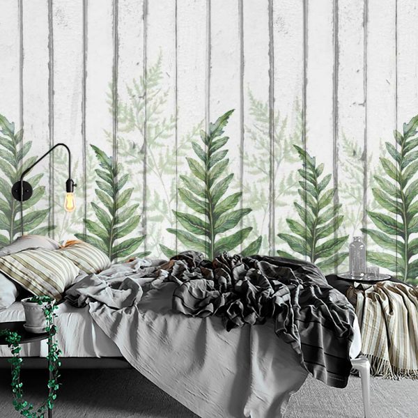 Fototapeta - Paproć