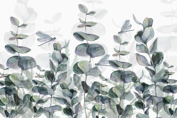 Fototapeta - Śnieguliczka biała