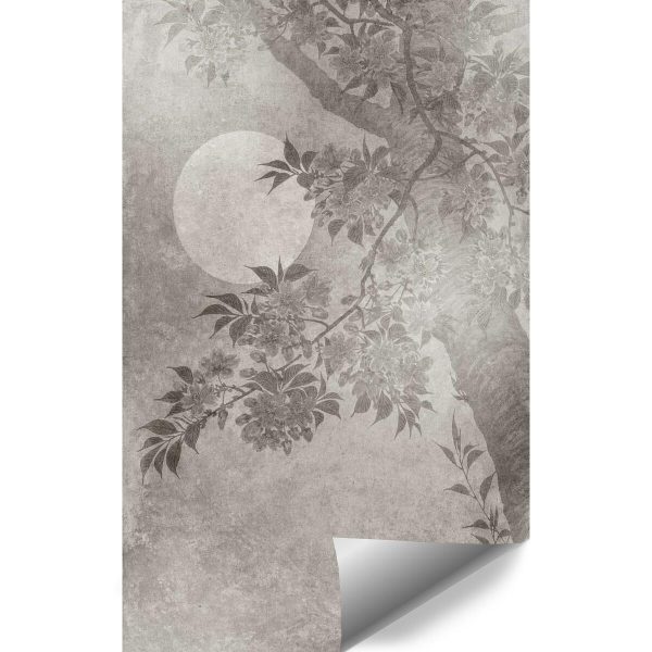 Fototapeta z księżycem do przedpokoju