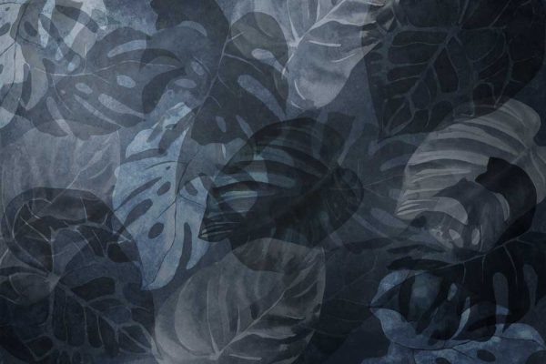 Fototapeta z motywem liści monstery