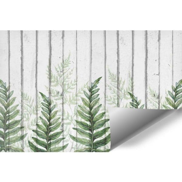 Fototapeta z motywem paproci