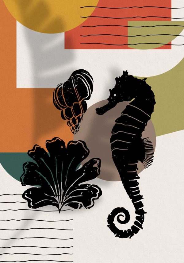 Plakat - pławikonik