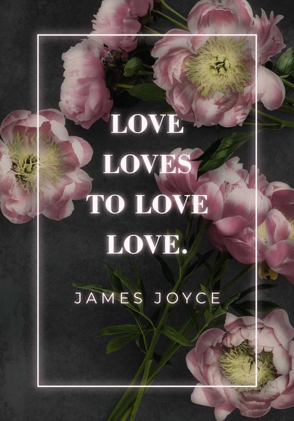 Plakat ukazujący piękny kwiat piwonii