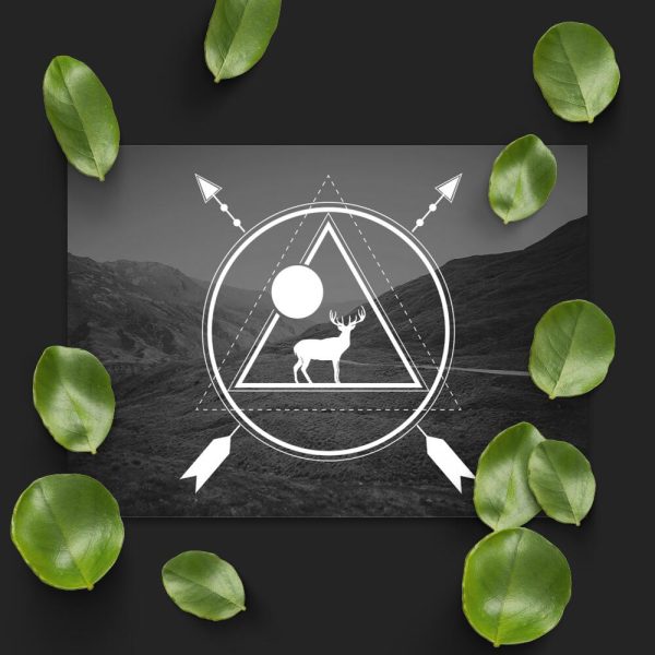 Plakat z motywem jelenia do przedpokoju