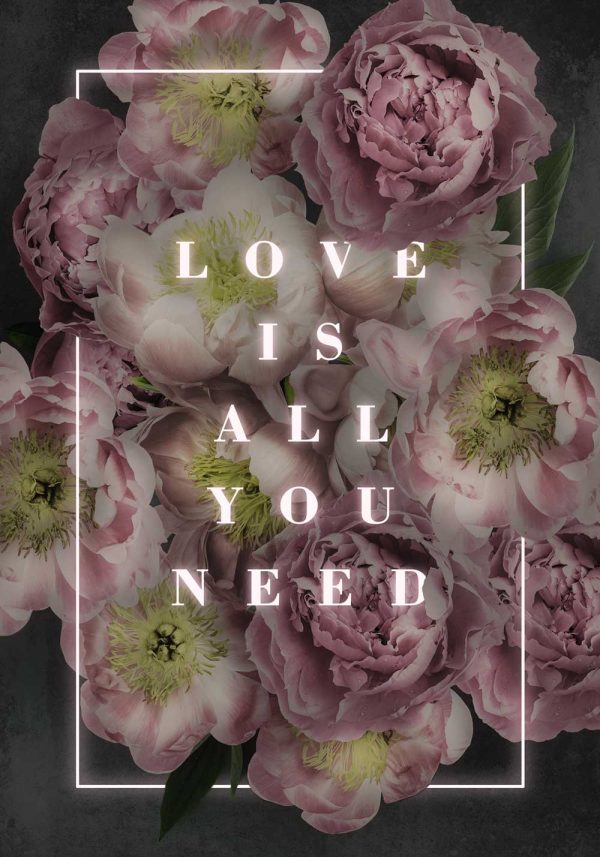 Plakat z motywem piwonii