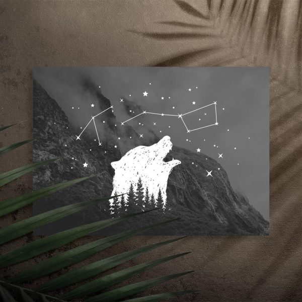 Plakat z niedźwiedziem do przedpokoju