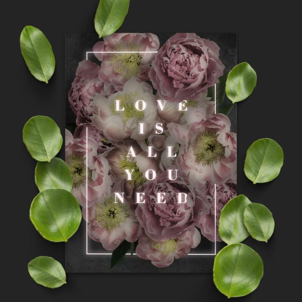 Plakat z piwoniami i napisem