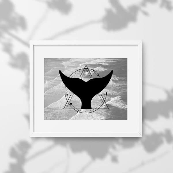 Plakat z płetwą do przedpokoju