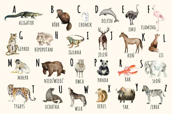 Fototapeta - Alfabet