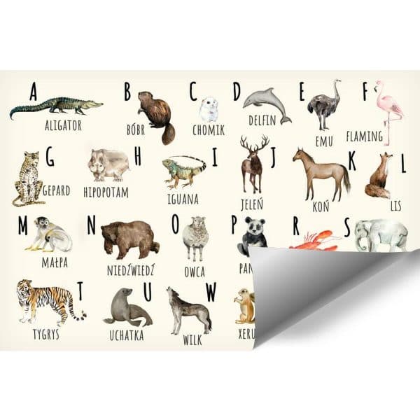 Fototapeta - Alfabet do pokoju