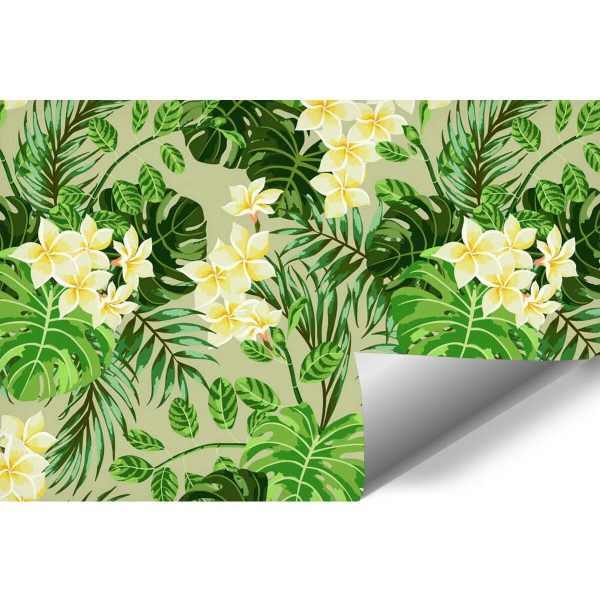 Fototapeta z monsterą do pokoju