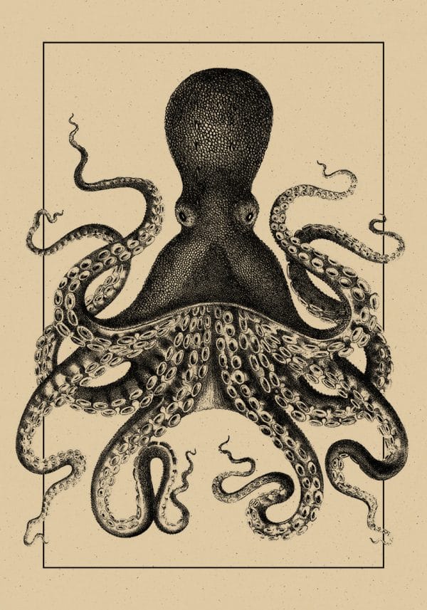 Plakat z motywem ośmiornicy