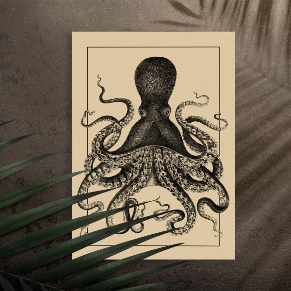 Plakat z motywem ośmiornicy do przedpokoju