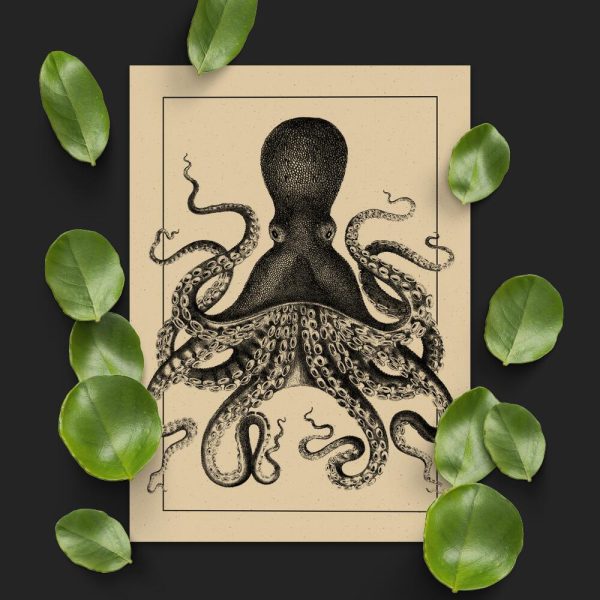 Plakat z motywem ośmiornicy do salonu