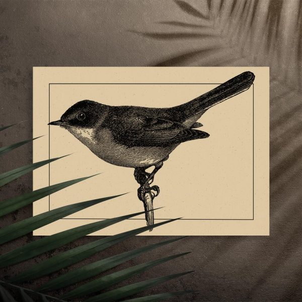 Plakat z motywem ptaszka