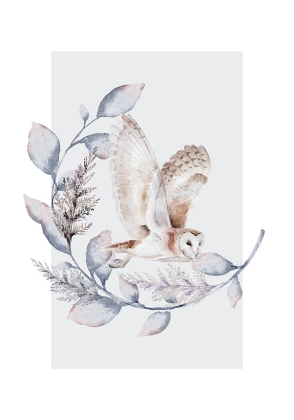 Plakat z motywem sowy