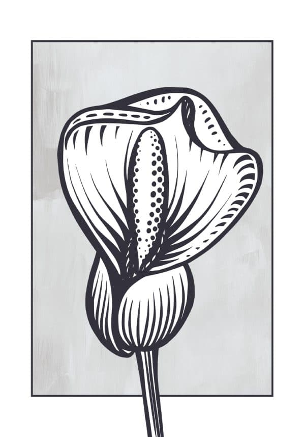 Plakat ze skrzydłokwiatem