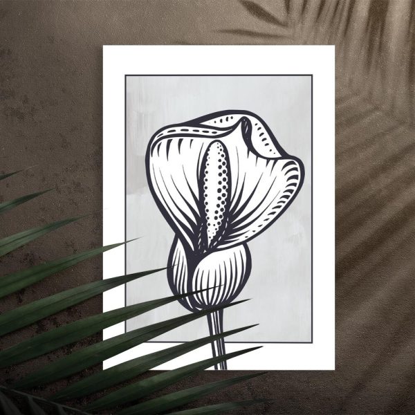 Plakat ze skrzydłokwiatem do pokoju