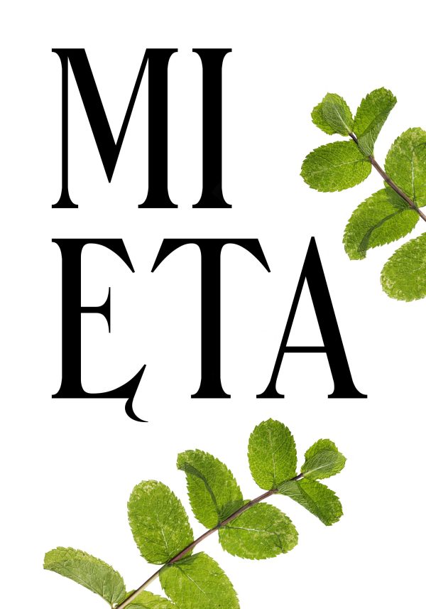 plakat do kuchni z miętą