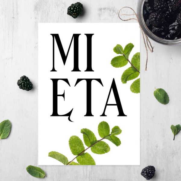 plakat przedstawiający miętę