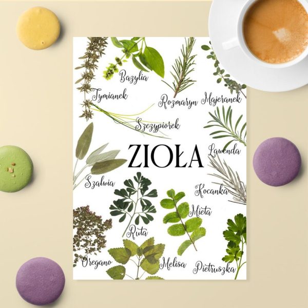 plakat z motywem ziół