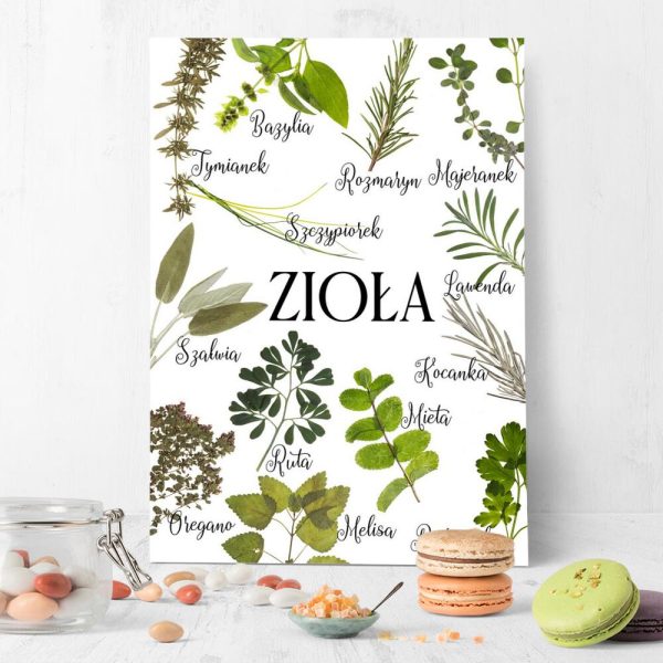 zioła na plakacie