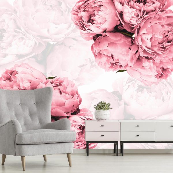 Foto-tapety z piwoniami