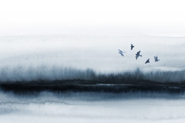 Tapeta widok na ptaki i szuwary na brzegu jeziora