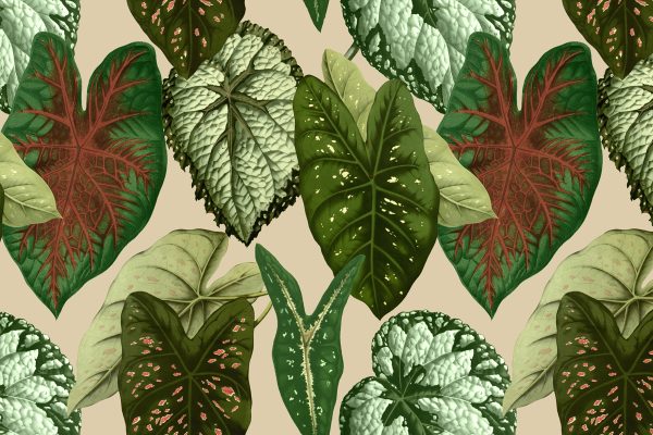 Tapeta z motywem liści