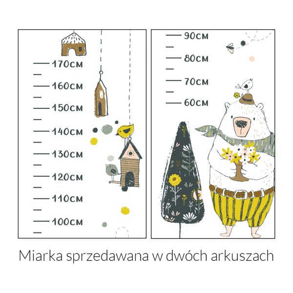 Miarka wzrostu z misiem