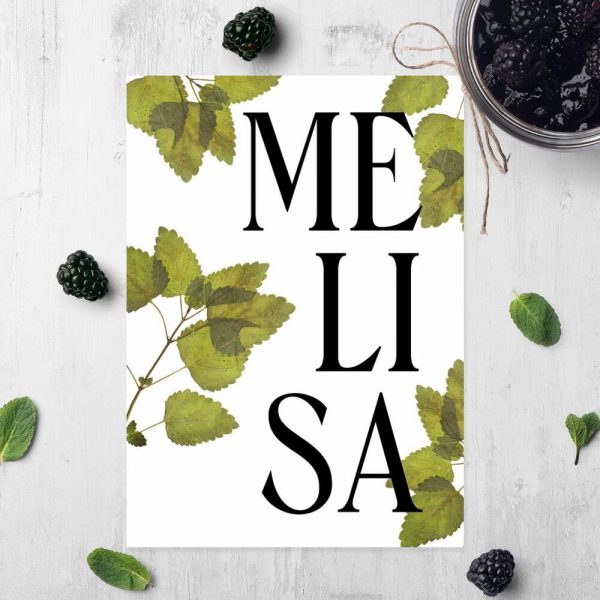 plakat karta z zielnika