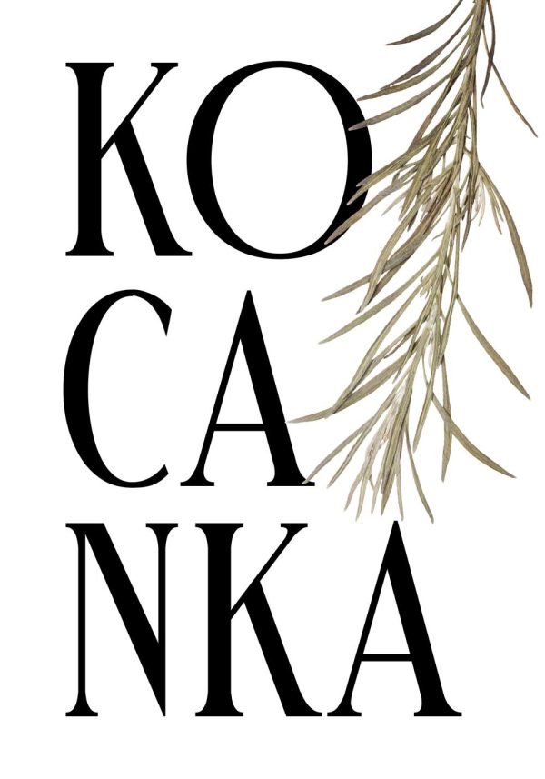 plakat na ścianę z kocanką