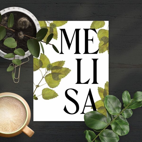 plakat przedstawiający melisę