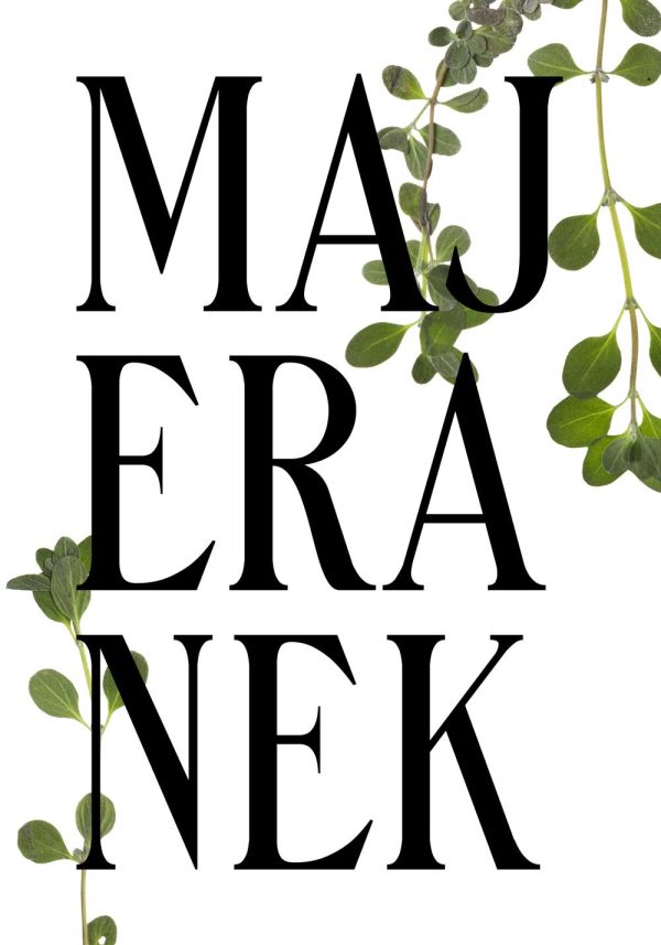 plakat z majerankiem