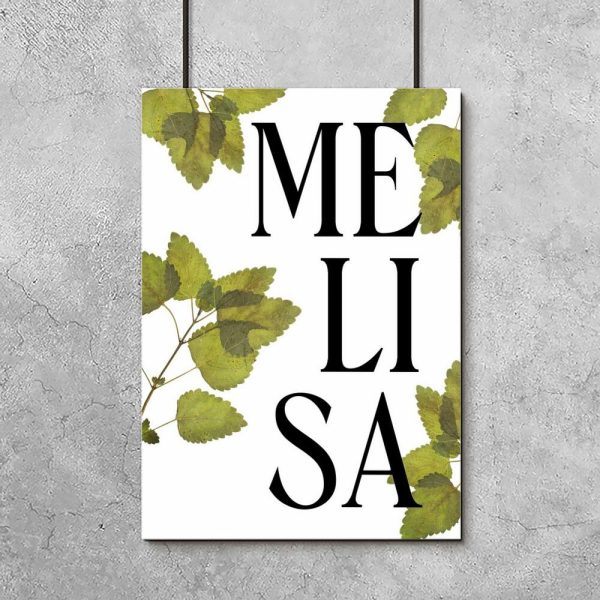 plakat z motywem melisy