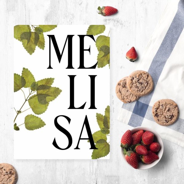 plakat zielarski z melisą