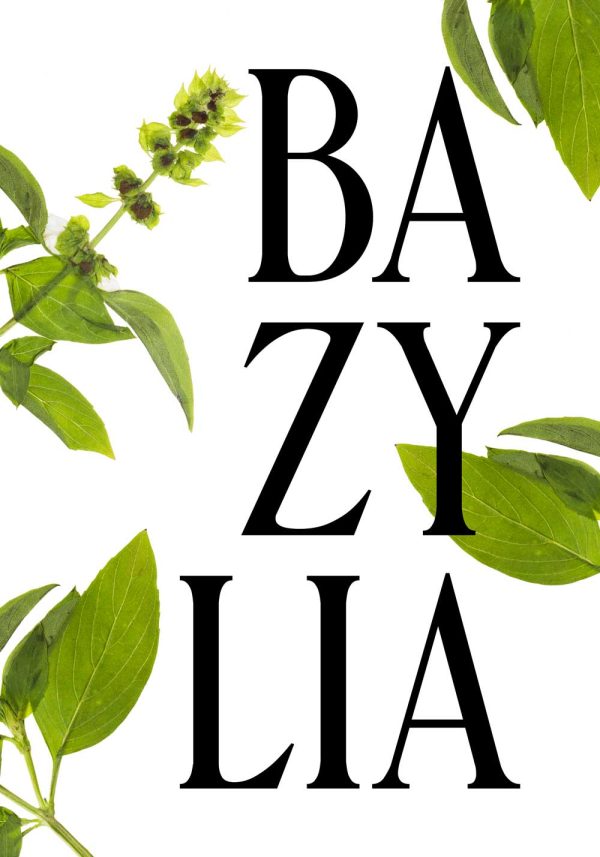 plakat z bazylią
