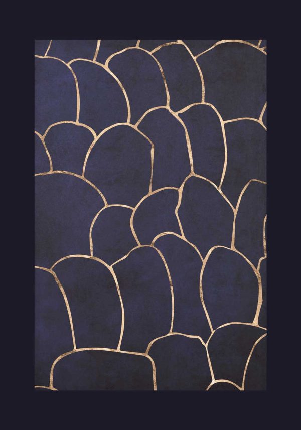 Plakat z łuskami na ciemnym tle - abstrakcja