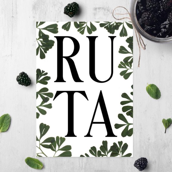 plakat z motywem zielarskim