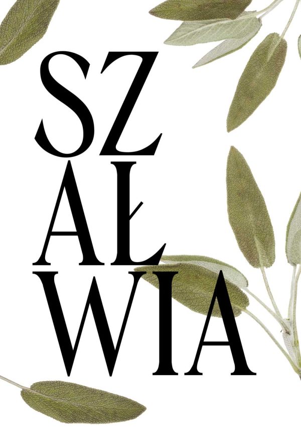 plakat z szałwią