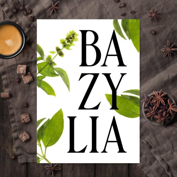 plakat zielarski z bazylią