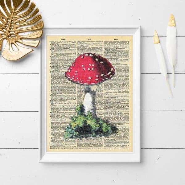 Plakat - kartka z encyklopedii